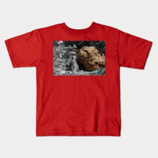 mossy rock Kids T-Shirt